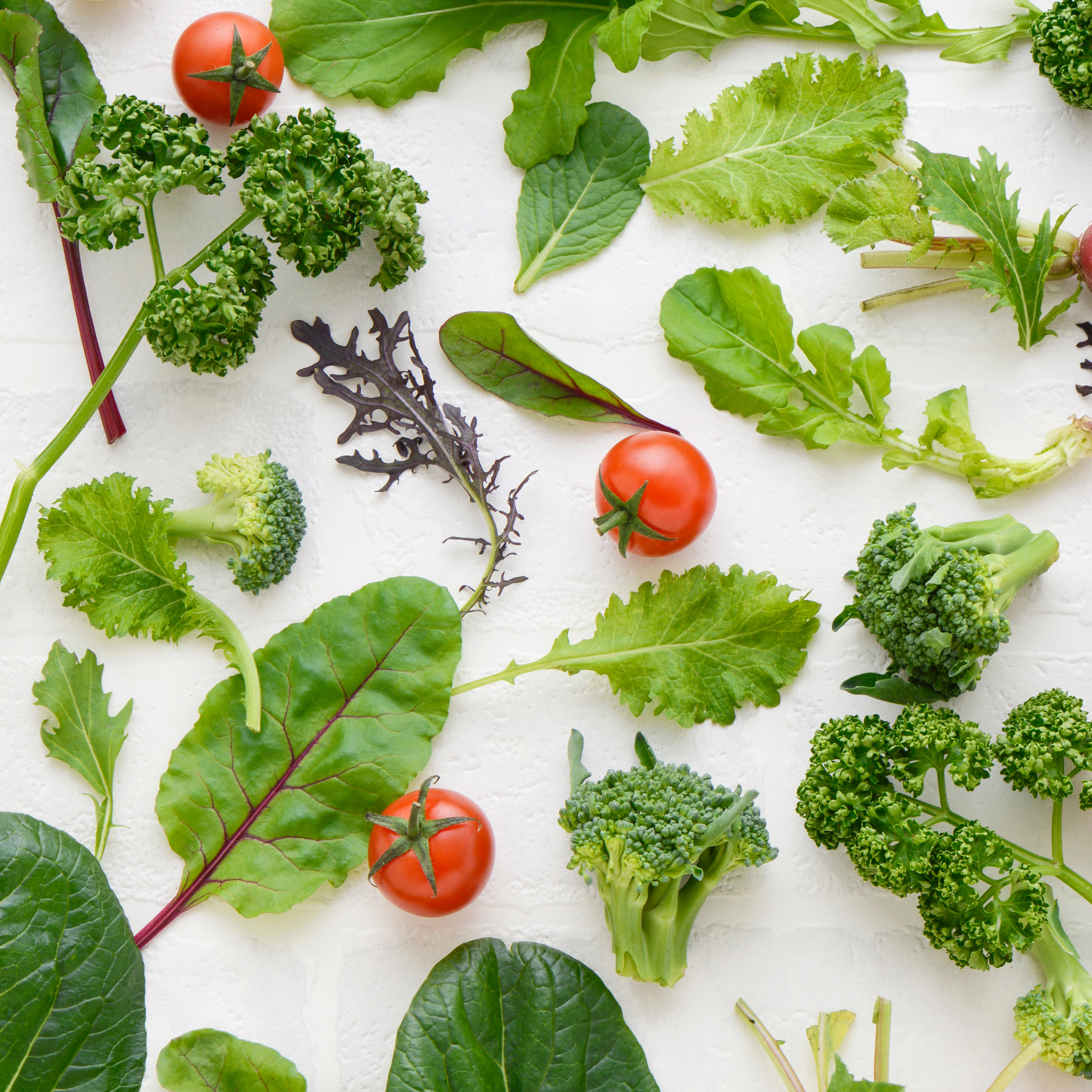 Quelles plantes cultiver facilement chez soi en intérieur ?