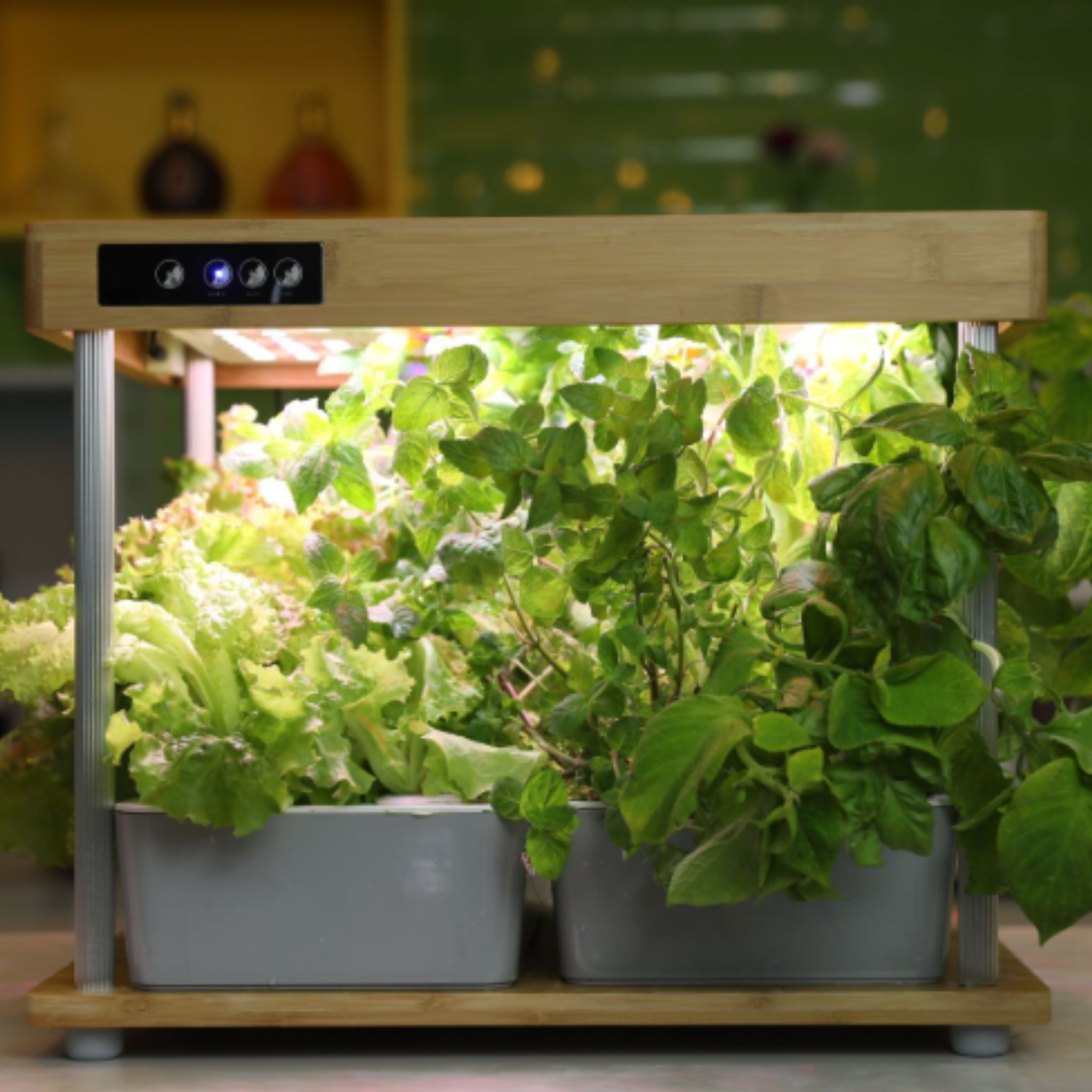 Kit hydroponique 16 embouts